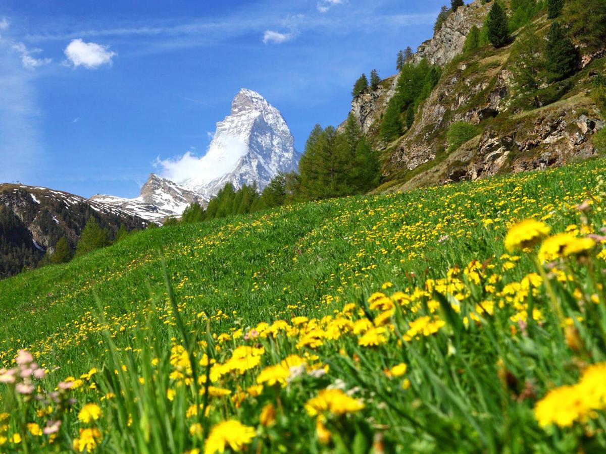 Apartment Breithorn By Interhome Zermatt Exterior foto